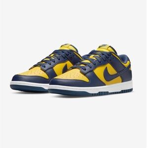 Nike Kids Dunk Low Varsity